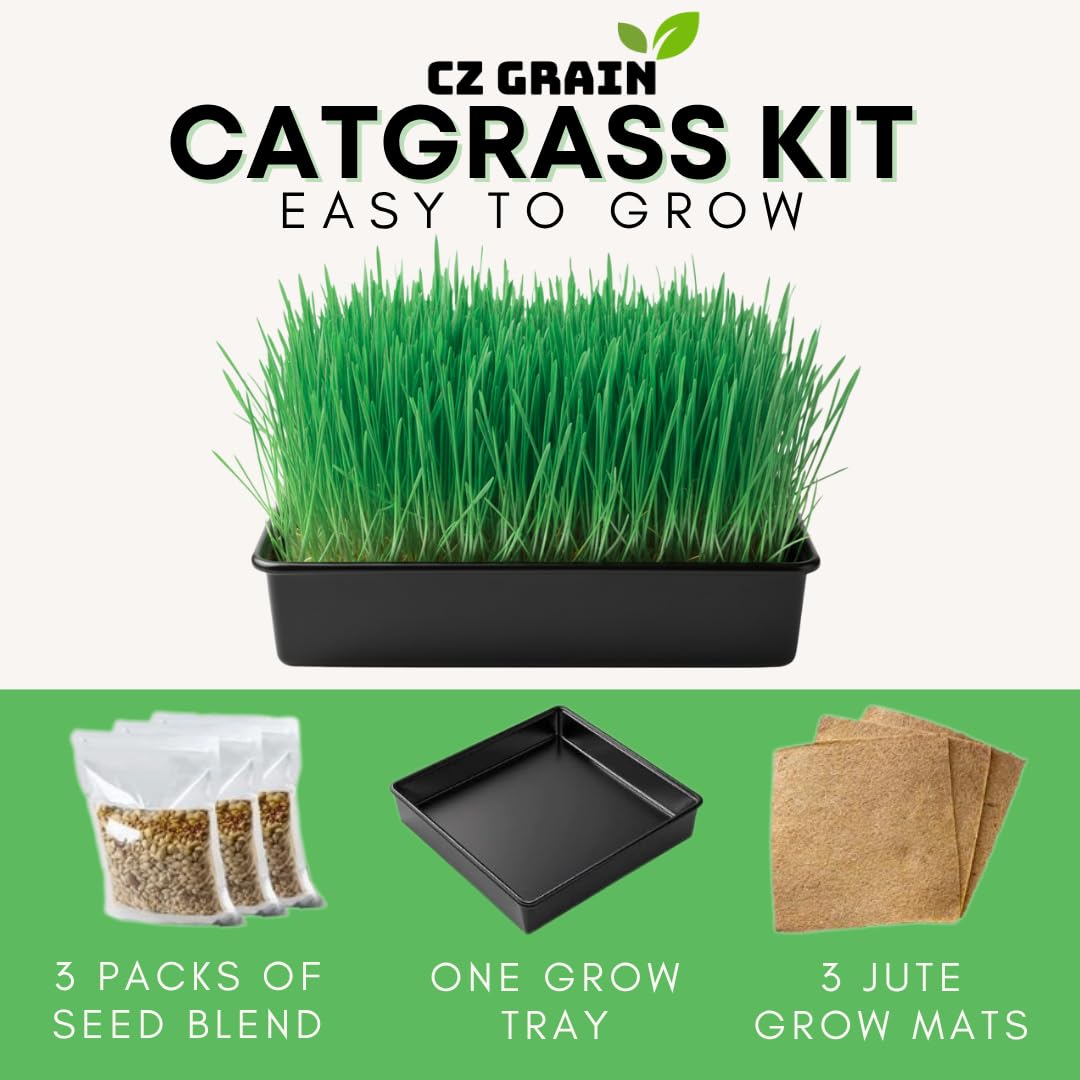 Cat Grass Growing Kit with Organic Seed E2013