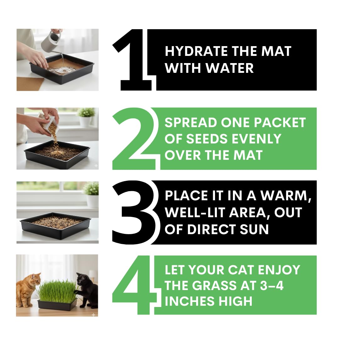 Cat Grass Growing Kit with Organic Seed E2013