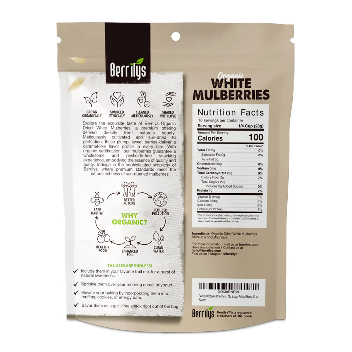 Organic Dried White Mulberries 2 Pack 10oz J500