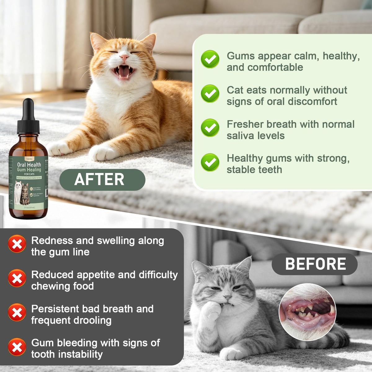Natural Plant-Based Cat Oral Care A751