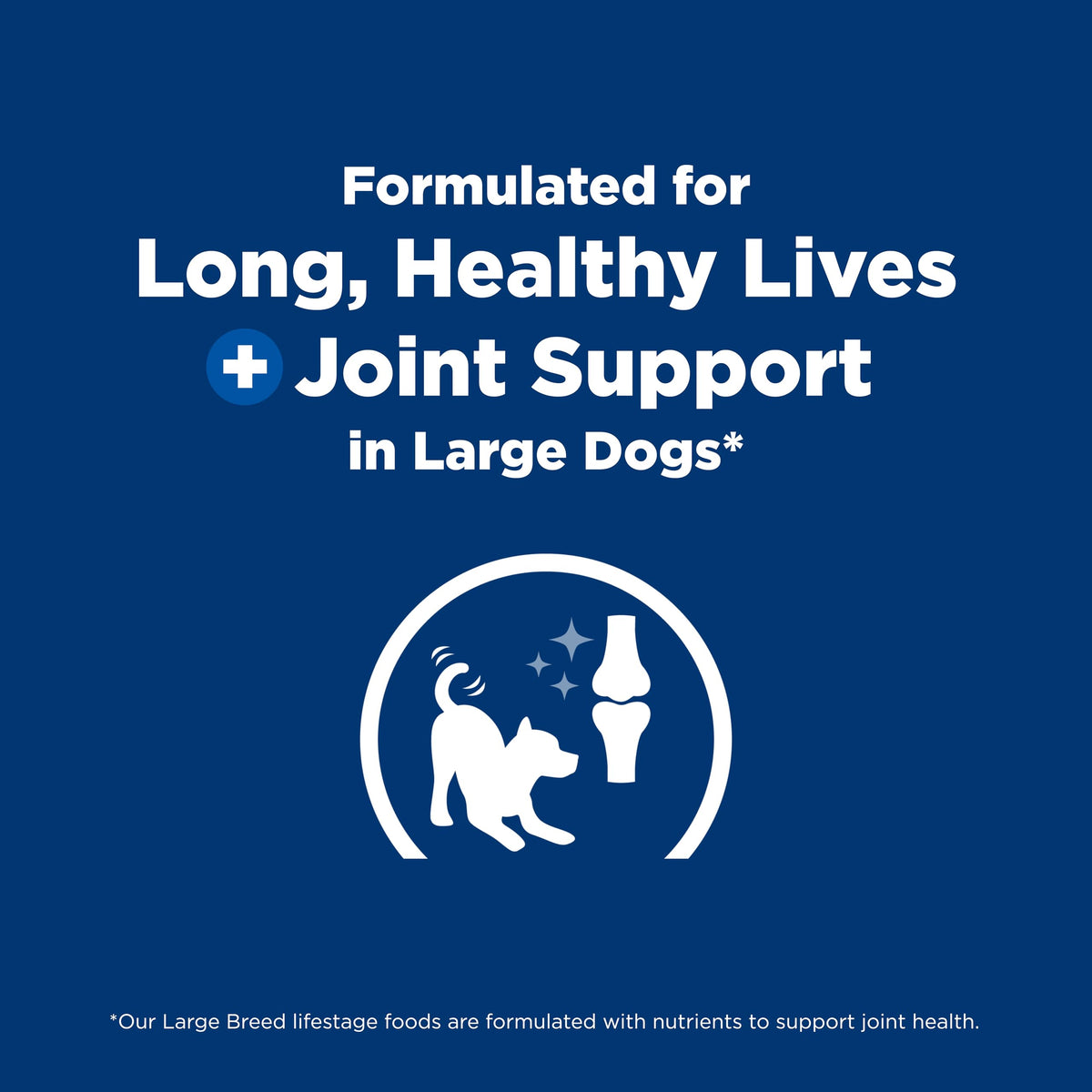 Large Breed Dry Dog Food Z498165
