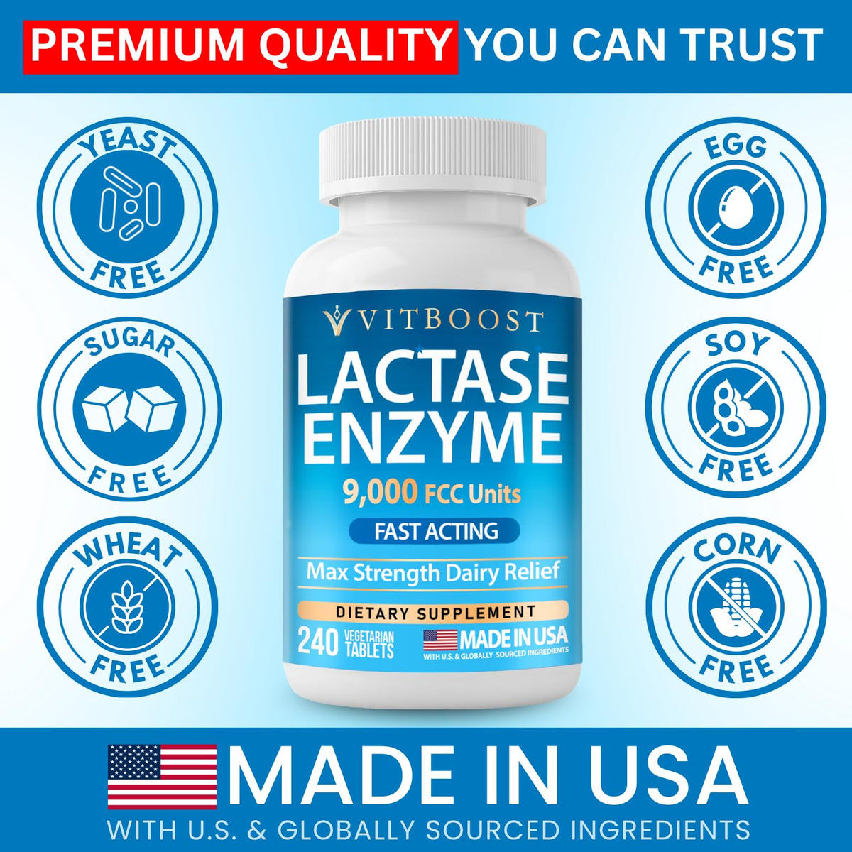 Lactase Enzyme 240 Tablets B74221