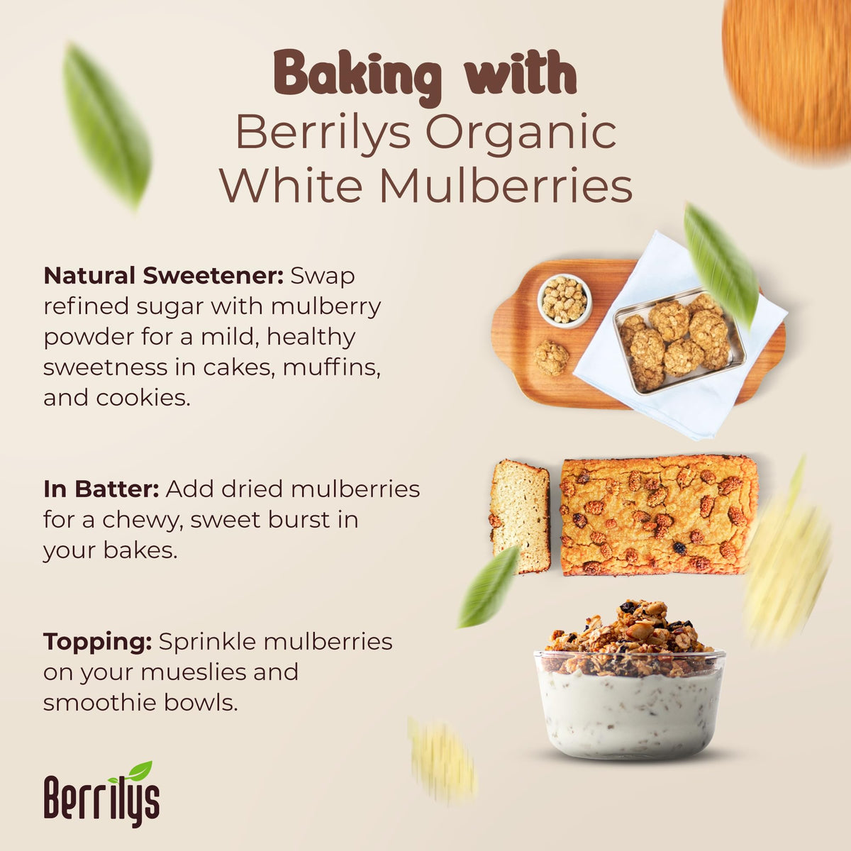 Organic Dried White Mulberries 2 Pack 10oz J500