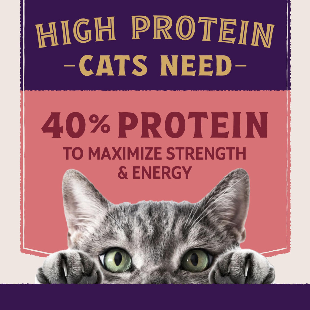 Salmon & Chicken Meal Protein Plus 5 lb X9882