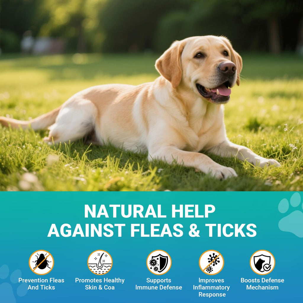 120 Soft Chews Flea and Tick Chewables for Dogs Chicken Flavor W475