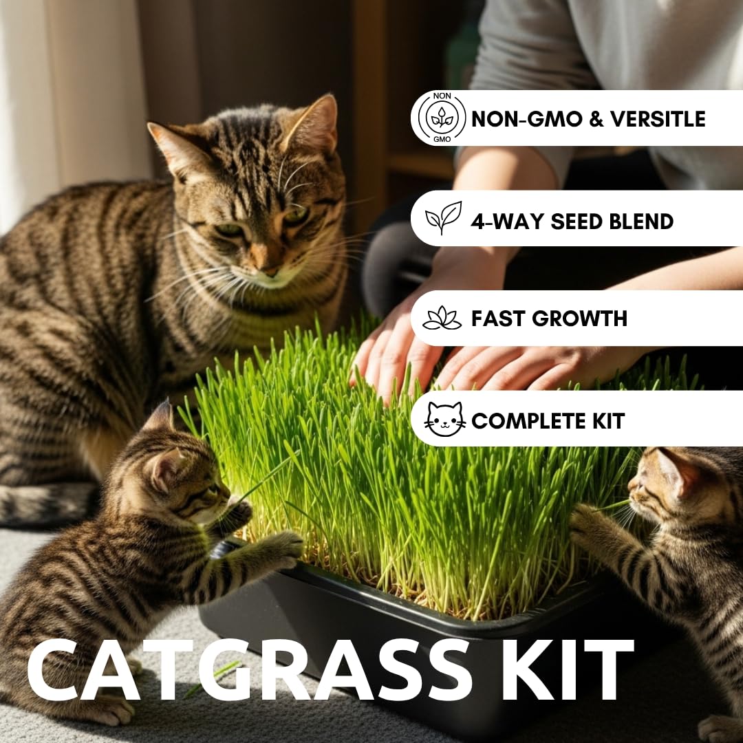 Cat Grass Growing Kit with Organic Seed E2013