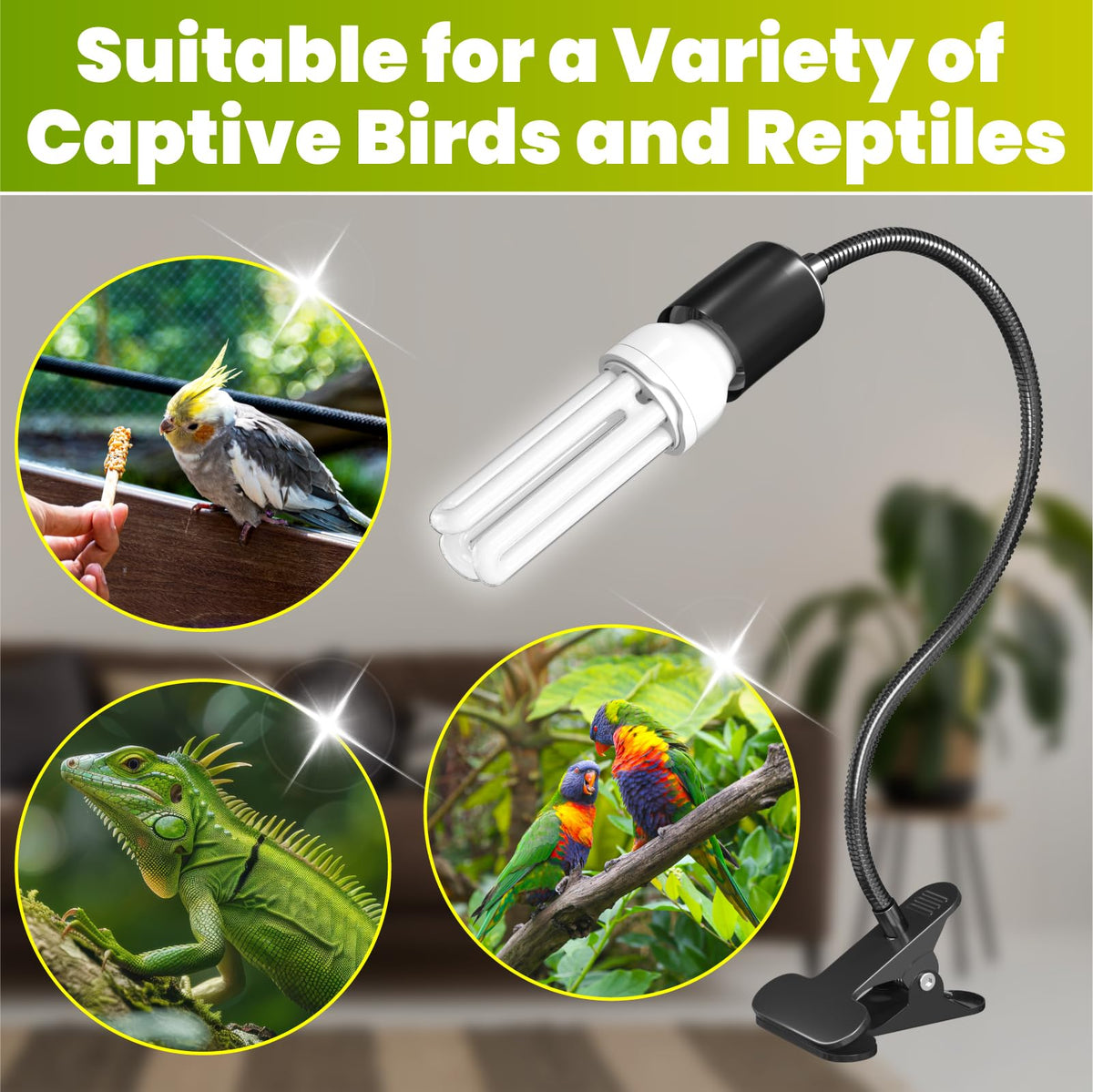 Bird Cage Lighting Combo Kit, Clip Lamp with UVB 2.4 20W Compact Fluorescent Bulb D81145