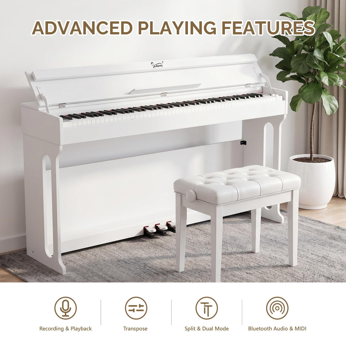 88 Key Weighted Digital Piano C443