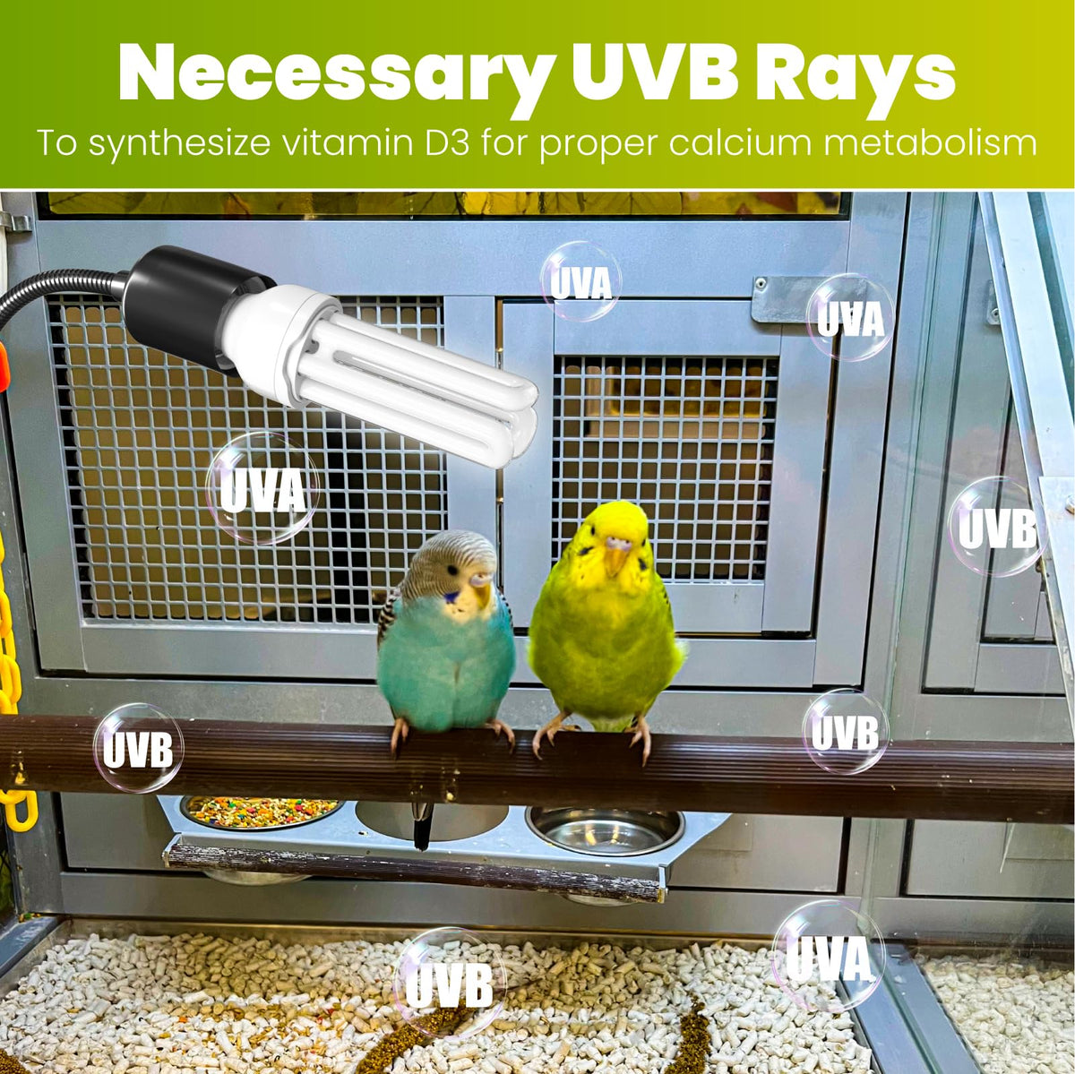 Bird Cage Lighting Combo Kit, Clip Lamp with UVB 2.4 20W Compact Fluorescent Bulb D81145