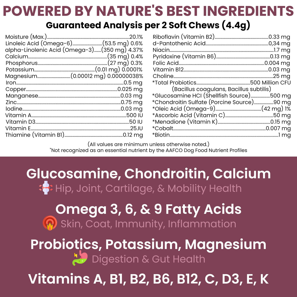 Dog Multivitamin Soft Chew B5474