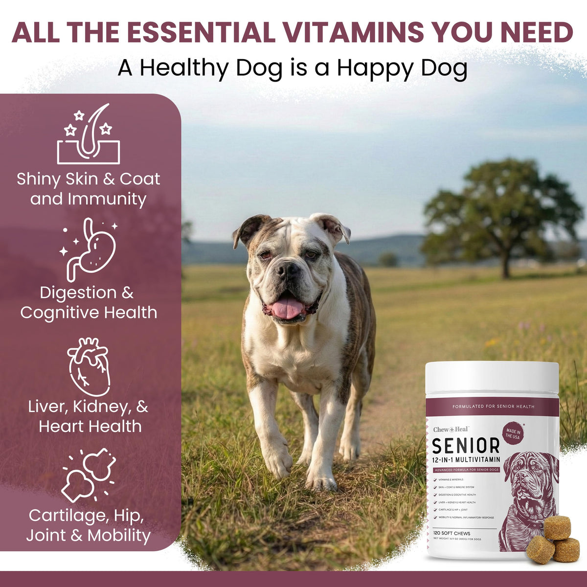 Dog Multivitamin Soft Chew B5474