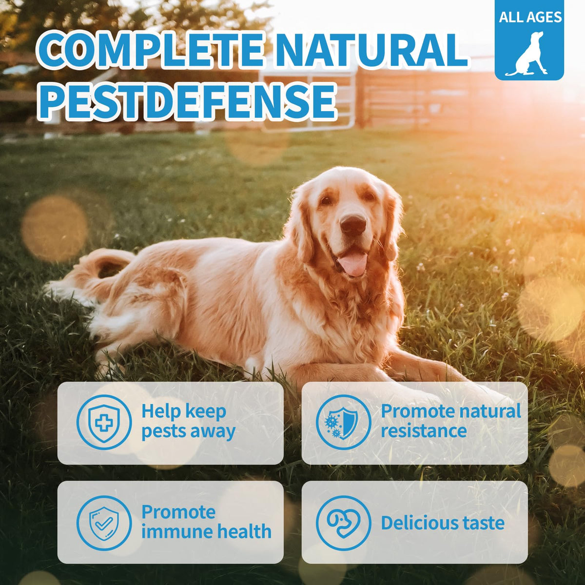Flea and Tick Chewables 200Ct T122450