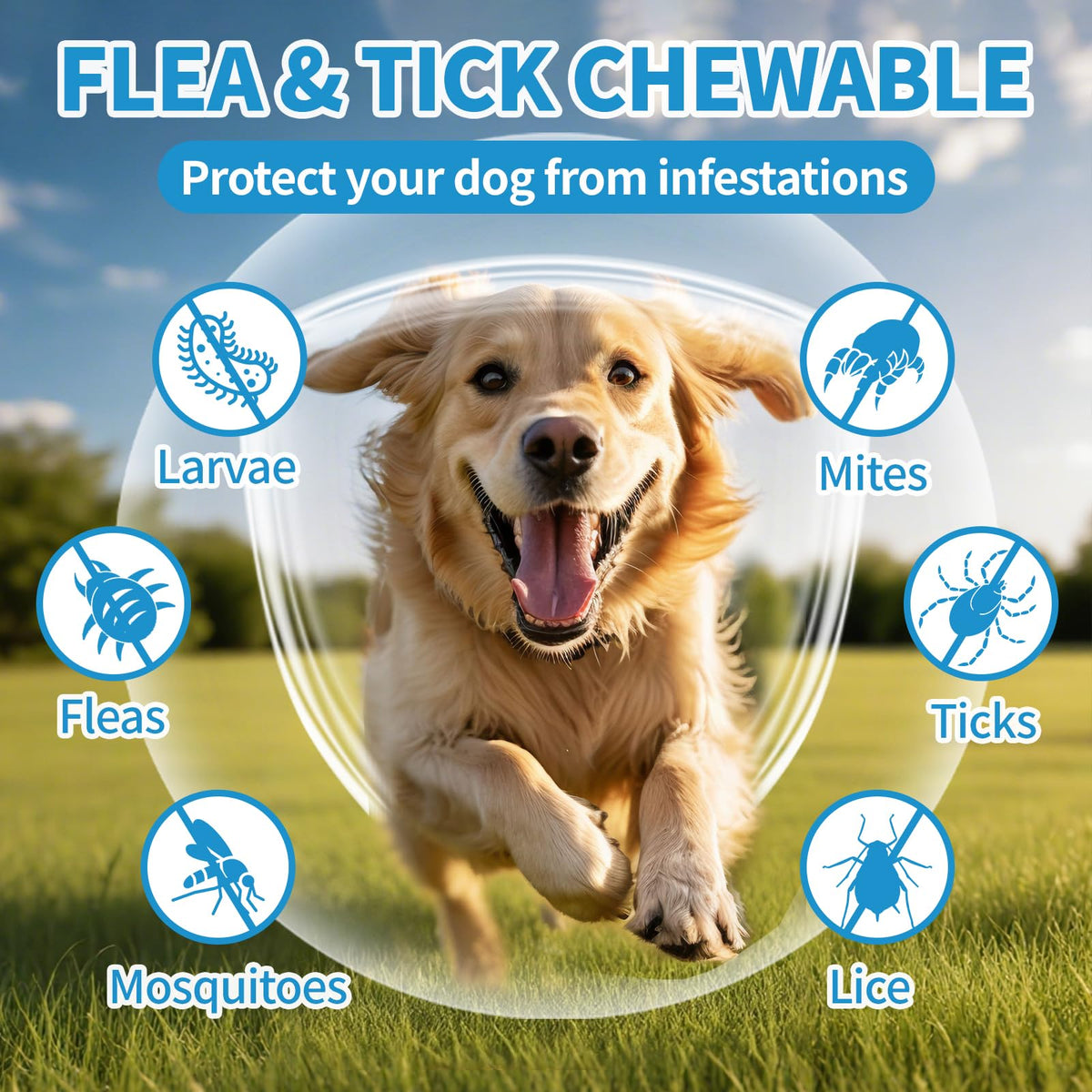 Flea and Tick Chewables 200Ct T122450