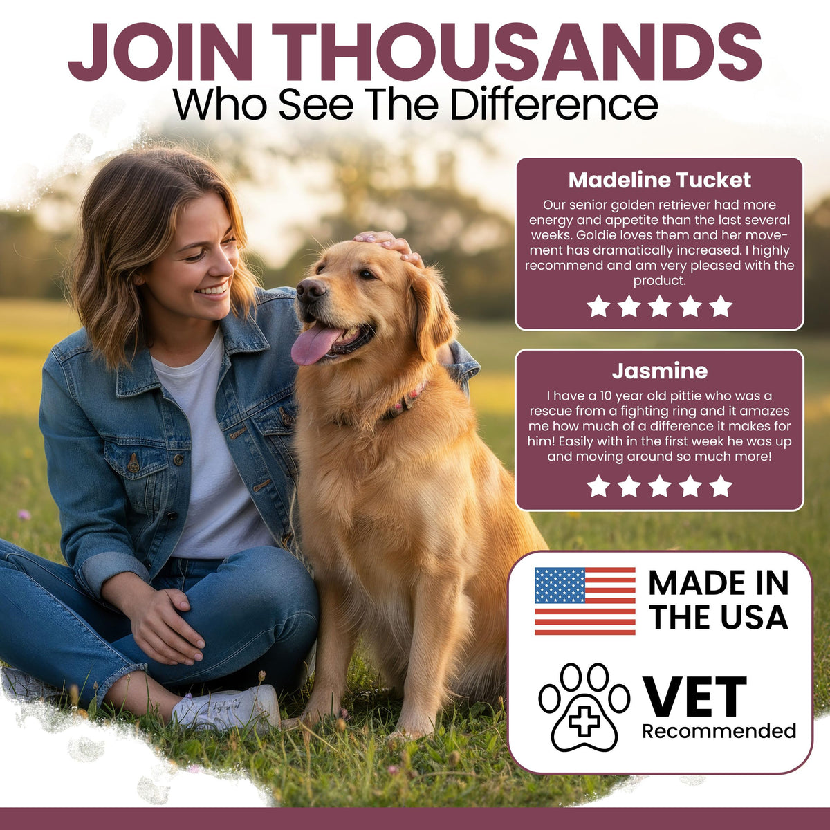 Dog Multivitamin Soft Chew B5474